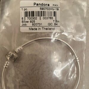 Pandora Silver Charm Bracelet